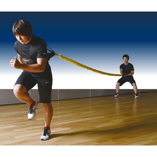 送料無料 トレーニング用品 下肢強化 筋トレ ニシスポーツ NISHI