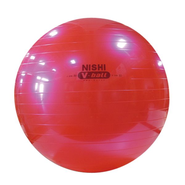 【新品】ニシ・スポーツ 定価95700円 パワーバランストレーニング 体幹安定力 公式】NISHI ONLINE STORE |バランスディスクⅡ: トレーニング
